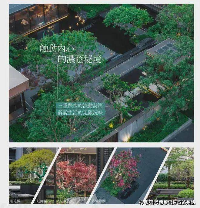 天博保利海上瑧悦(售楼中心)首页网站-海上瑧悦2024楼盘评测最新价格配套户型(图15)