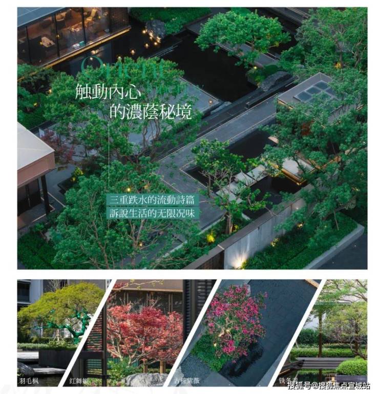 天博上海保利海上瑧悦(2024保利海上瑧悦)首页网站-楼盘评测-详情-户型配套(图35)